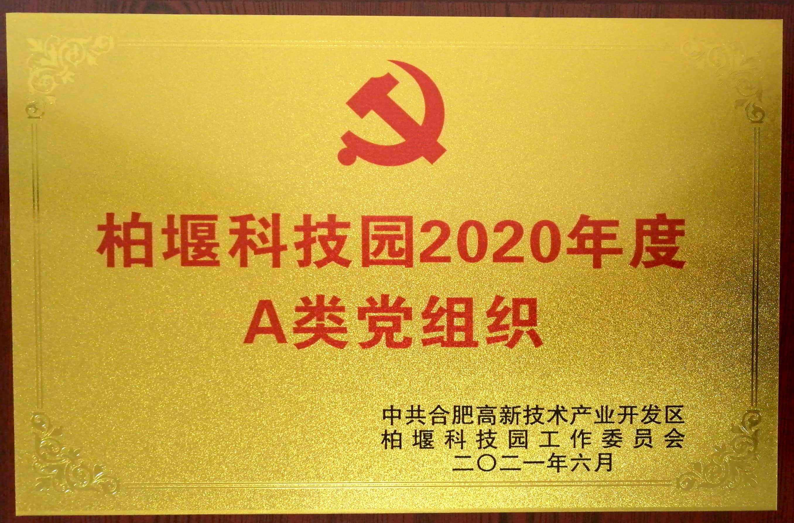 安徽深藍(lán)醫(yī)療科技股份有限公司黨支部被評(píng)為“柏堰科技園2020年度A類(lèi)黨組織”